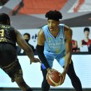 삼성인삼 이미지