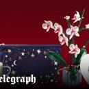 J.J Team Boxing Gym 이미지