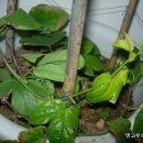 블루스카이 이미지