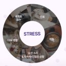 해피그루밍 | [펠리웨이 해피스낵] 스트레스 줄이는 펠리웨이 스틱형 간식 솔직 후기