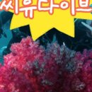 씨유다이브