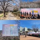 율하체육공원 분수광장 | 장유 율하 벚꽃축제 방문 후기