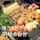 뿔난강아지 | 미사 소곱창 애견동반식당 뿔난황소곱창 내돈내산 찐맛집추천