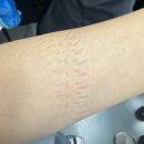 와이레더 | [바늘이야기] 아임낫레더 헤링본백 완성!_드래곤디퓨전 미니 플랫st