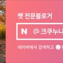 24시무인애견간식&용품아무도없개 네이버블로그