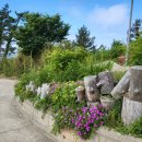 오네노네 이미지