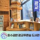호수공원작은도서관 | 광교푸른숲도서관 주차 수원 광교호수공원 데이트코스 가볼만한곳
