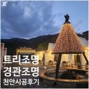 비비킹 펜션 | 천안 광덕 카페 바비큐 비비킹 트리 경관 조명 공사 후기