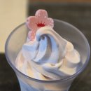 폴바셋 부산대연DT점 | 폴바셋 부산 대연 DT점 에서 체리블러썸 아이스크림 먹었어요♡