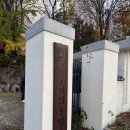 신갈수지 | 용인ㅣ신갈수지합동양조장 생막걸리 일반/특주 후기 🍶