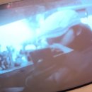 제일신진타운 | 부산여행 4박5일 📚3일차📚