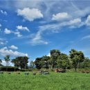 뭉개구름 이미지