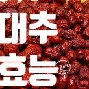 뚱순이네 이미지