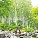 미래로발전소 이미지