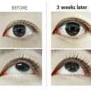 그로우속눈썹 이미지