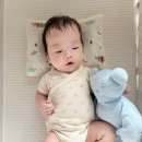 대한바이오피드 | 태열베개 짱구베개 추천, 몽슈레 PCM 태열베개 사용법 후기