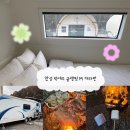 럭셔리 안성(M) 글램핑장 | [ 서울 근교 글램핑 ] 안성 럭셔리 글램핑 M 카라반 후기 ( 무제한 바베큐 )