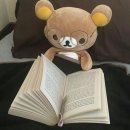 교육원 | 한국방송작가협회교육원 전문반 후기💪