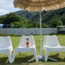 두푸딩하우스 이미지