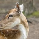 광릉충전소 이미지