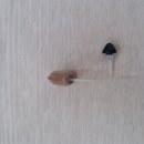 대구소리샘보청기 이미지