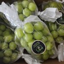 월명농장 이미지