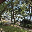 스테이인 태안 | [블챌] 스테이인 태안 숙소 후기 자쿠지 바베큐 캠핑장