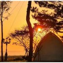 씨투아일랜드 이미지