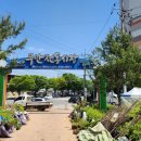 무안전통시장(야외) 이미지