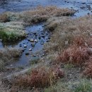 대전둘레산길(12구간) | 3차 대전둘레 산길 12구간 - 동물원길