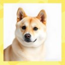 재진축산 이미지