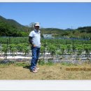 삼태농장 이미지