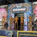 메디아나짐 이미지