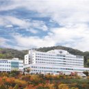 부산광역시의료원 이미지