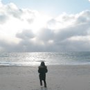 대천에코펜션 이미지