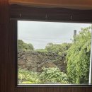 달리야드 이미지