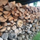 수륙식품 이미지