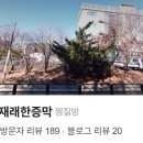 재래한증막 이미지