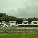 펫티움애견펜션 | 홍천 애견펜션 펫티움 2번 방문 후기, 수영장청결까지 솔직 리뷰