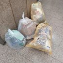 크린주 이미지