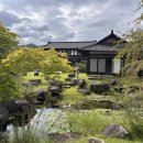 에덴가든민박 | 합천영상테마파크 완벽여행가이드 - 시간여행과 촬영지의 만남