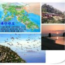 어은돌갈대숲 Daum카페