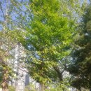 동부그린공원 이미지