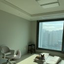 김민성 동물병원 이미지