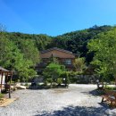 숲속의 정든집 야영장 이미지