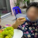 할매흑염소탕 | [대학생 일상] 까치 까치 설날은 어저께고요