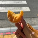 나비유박외과의원 이미지