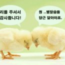 시글 이미지