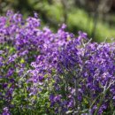 온천천시민공원 자전거대여소 이미지