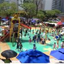 숲속어린이공원 내 이미지